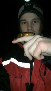 Sebastian Pedersen med sin Norges rekord på kystringbuk 13,1gr