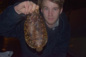 Hårvar foto: John Olav florø Larsen