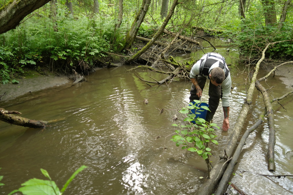 Bilde 2 - Lars Jørgen Sveen