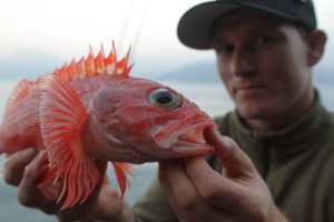 Albin Dal med en blåkjeft foto: Team Galskap