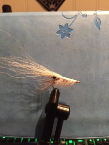 12212530_10153028653502282_1746795222_n