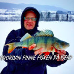 Hvordan finne fisken på isen?