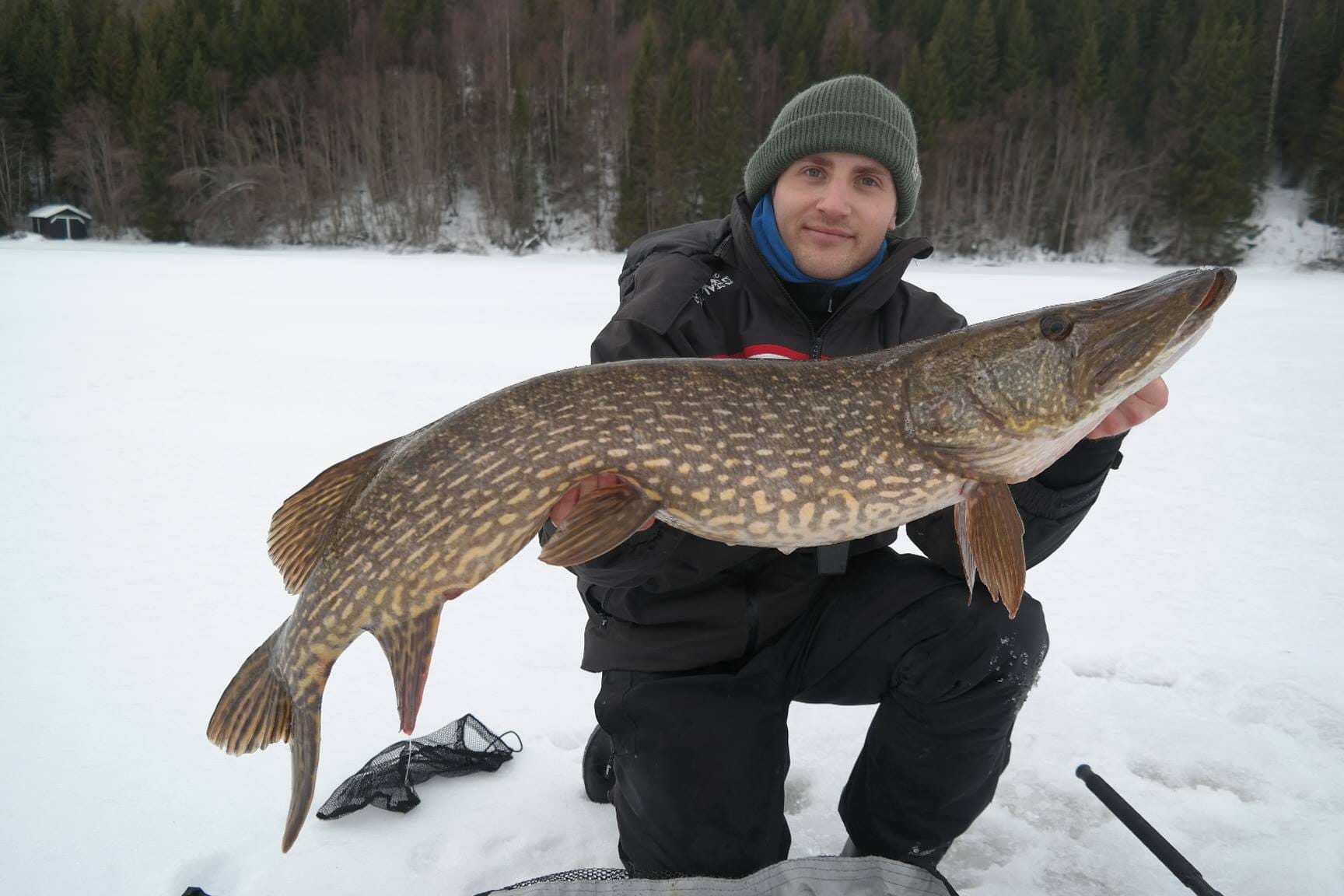 Meitefiske Etter Gjedde Ga Resultater Fiskeavisen