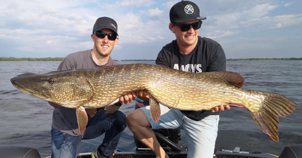 Foto: CWC AB // cwcab.com