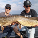 Foto: CWC AB // cwcab.com