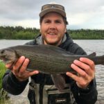 Man finner ofte harren i lette stryk hvor det er grusbunn og større steiner.