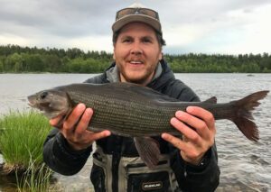 Man finner ofte harren i lette stryk hvor det er grusbunn og større steiner.