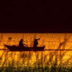 Image by Tom from Pixabay