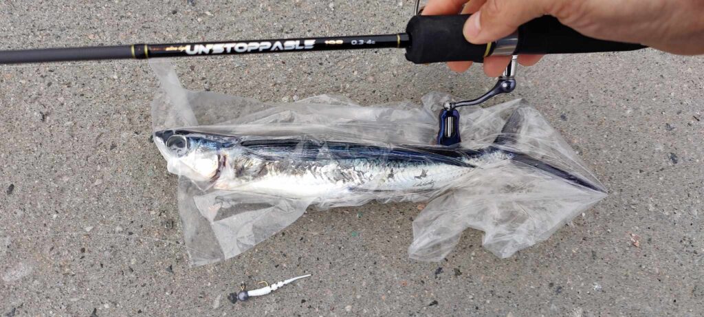 flyvefisk