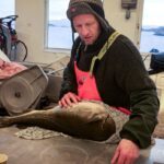 torsk forskning havforskning