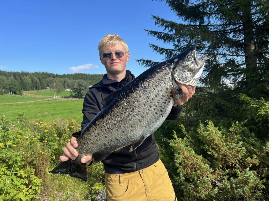 fiske lierne ørret murusjøen