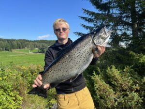 fiske lierne ørret murusjøen