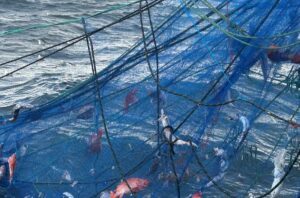 fiske garn spøkelsesfiske