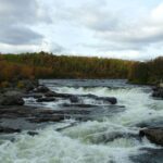 skoltefossen neiden laksefiske laks