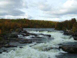 skoltefossen neiden laksefiske laks