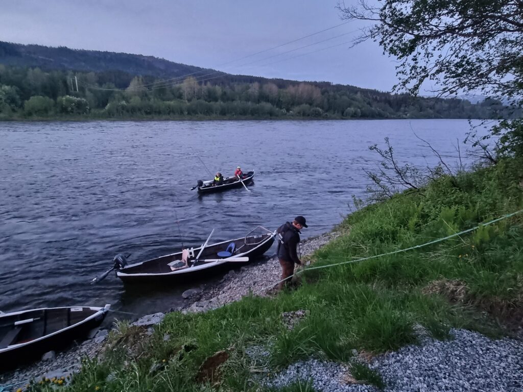 laksefiske namsen