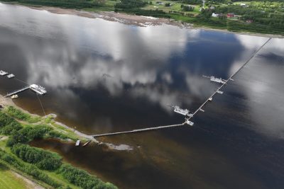 Pukkelaks Tana