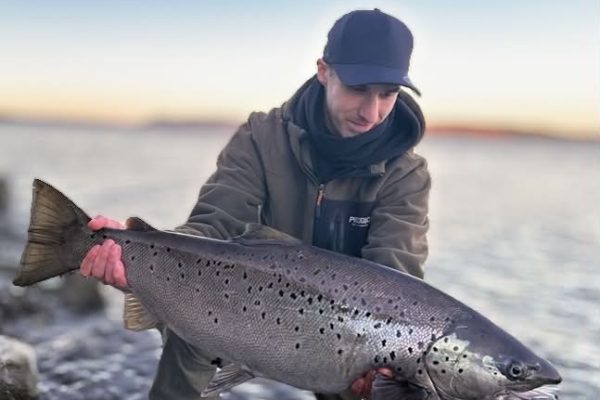 punding ørret mjøsa