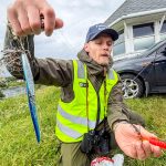 Anders skal veilede folk slik at det blir mindre av dette i Saltstraumen.