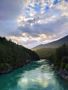 elv laks norge